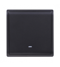 16AX 250V 1G 2W SW W/FLOU ,MB